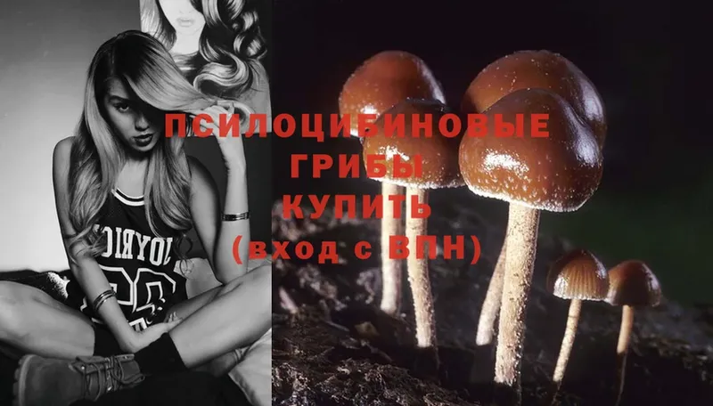 Галлюциногенные грибы Psilocybe  Красноуфимск 